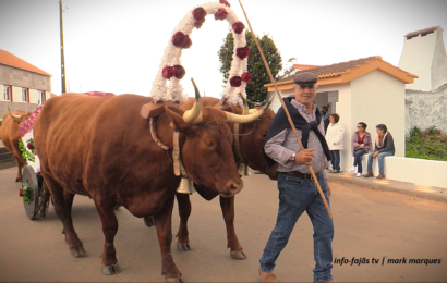“Desfile de Juntas de Bois” – Barreiro / Topo – Ilha de São Jorge (c/ vídeo)