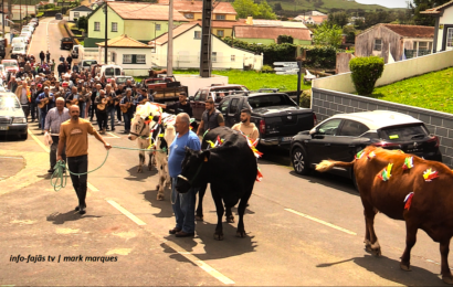 “FESTA DO GADO”- Sexta-feira do Espírito Santo – Norte Pequeno – Ilha de São Jorge (c/ vídeo)