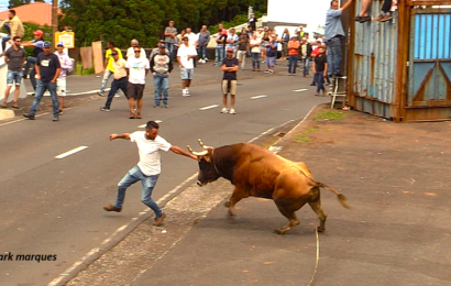 1ª TOURADA À CORDA – Santo António – Ilha de São Jorge (10.06.2024) (c/ vídeo)