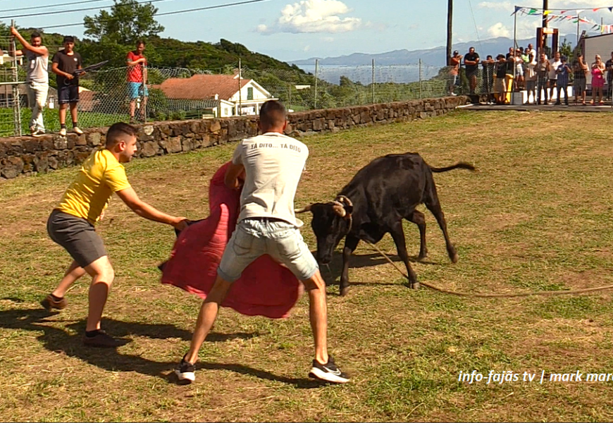 “VACADA” – Festa de São João na freguesia de Santo Amaro – Ilha de São Jorge (21.06.2024) (c/ vídeo)