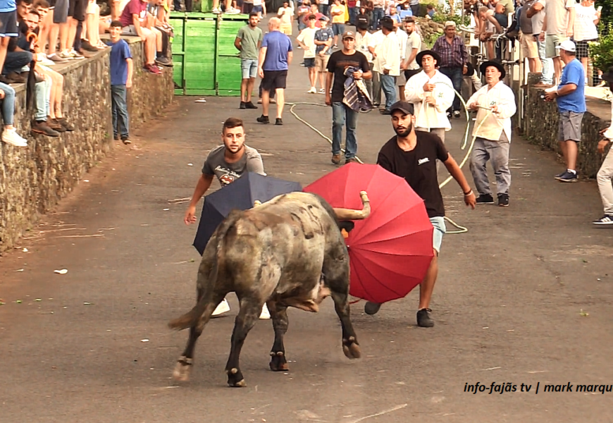 “TOURADA À CORDA” – Festas de Sant`Ana – Beira – Ilha de São Jorge (30.07.2024) (c/ vídeo)