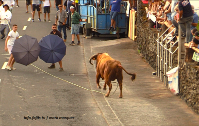 “TOURADA À CORDA” – Festa de São Mateus – Urzelina – Ilha de São Jorge (21.09.2024) (c/ vídeo)