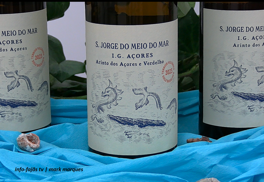 Lançamento do Vinho “SÃO JORGE DO MEIO DO MAR” – Produtor Cássio Amarante – Ilha de São Jorge (19.12.2024) (c/ vídeo)