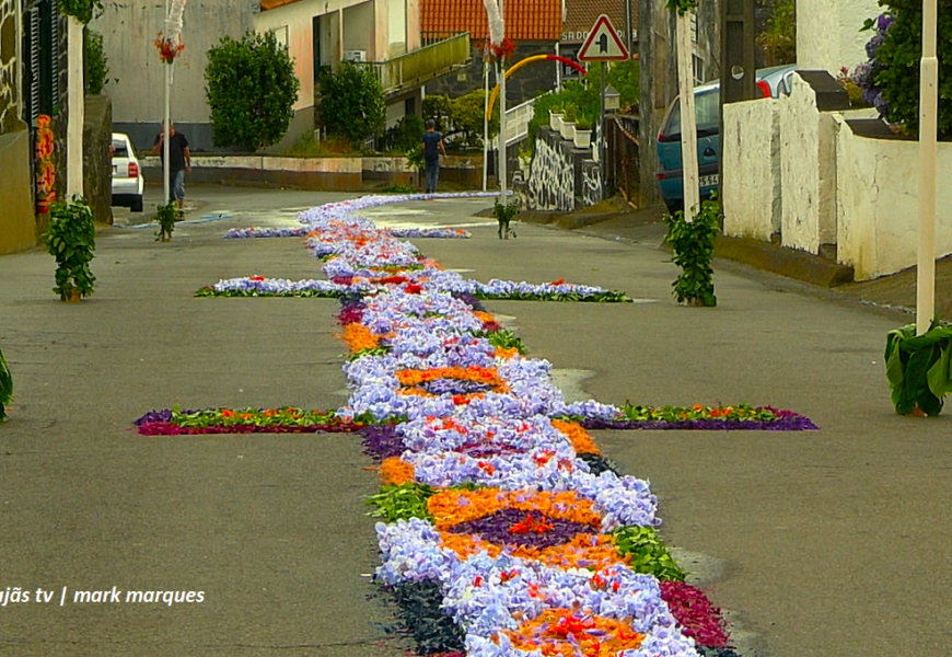 “TAPETES PARA RECEBER SANT`ANA” – Festa de Sant`Ana – Beira – Ilha de São Jorge (27.07.2025) (c/ vídeo)