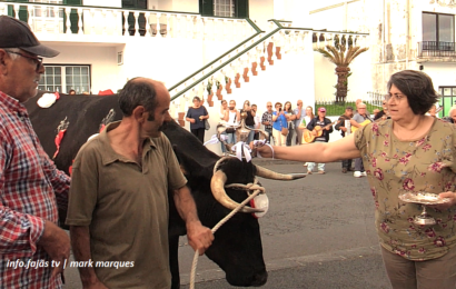 CORTEJO E COROAÇÃO DO GADO – IMPÉRIO DO LIVRAMENTO – Vila das Velas – Ilha de São Jorge (12.06.2026) (c/ vídeo)
